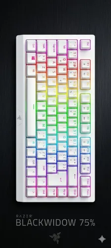 Teclado Razer BlackWidow V3 Mini HyperSpeed White Edition