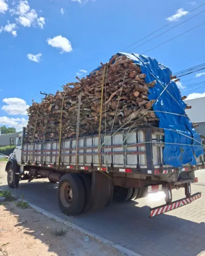 Vendo lenha de cajueiro para caldeira