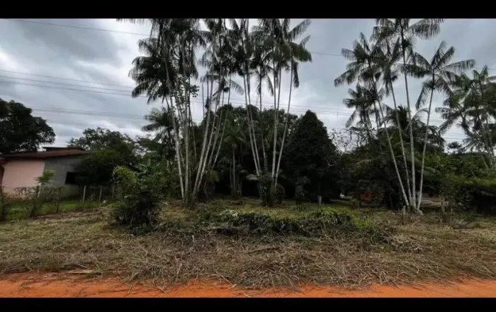 Vendo esse terreno.