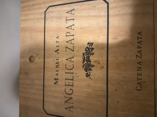 Vinho Angélica Zapata Malbec Alta 2020