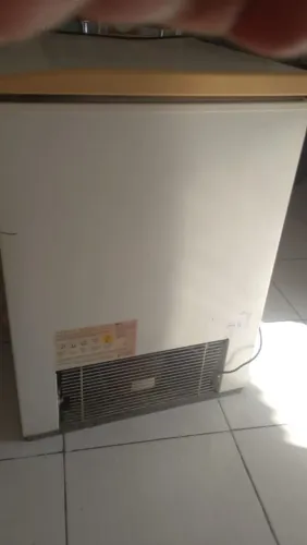 Freezer Electrolux 