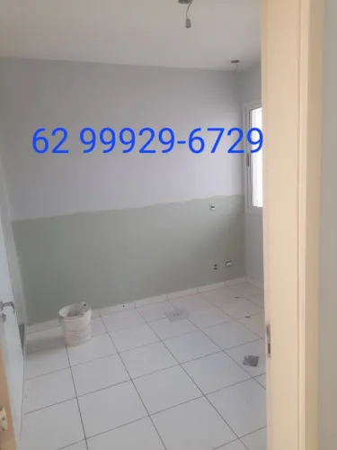 Pintor profissional