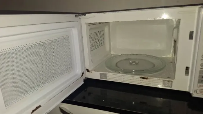Microondas com defeito no fusível