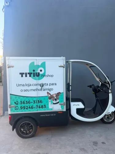 Triciclo elétrico FEVER FR 250