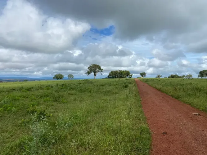 FAZENDA À VENDA EM TORIXORÉU MT | 1.066 HECTARES
