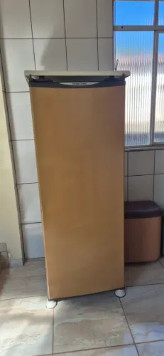 Vendo Freezer Vertical em excelente estado de conservação
