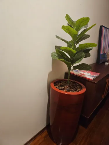 Vaso Fycus artificial 130cm