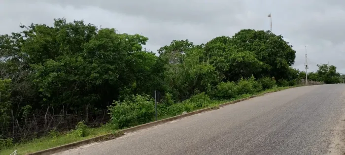 Terreno no interior de Aracati, terreno ótimo pra envestimento, estrada toda asfaltada. 