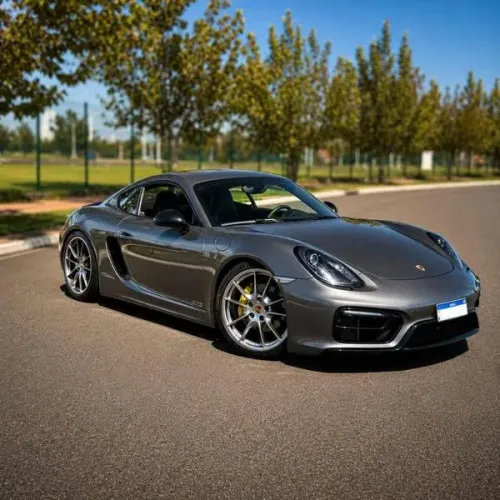 Porsche Cayman GTS 3.4 340cv 2015
