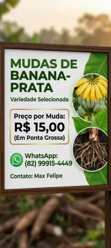 Categoria de produção flores e plantas