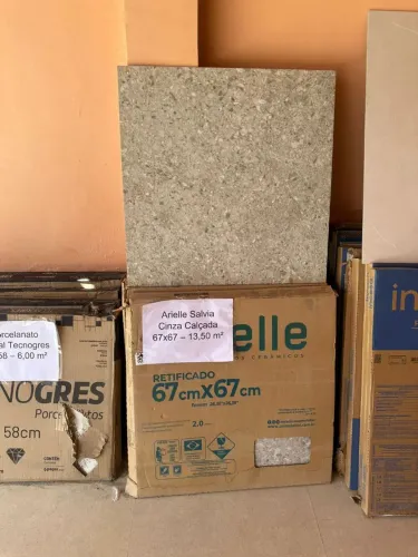 Arielle Salvia cinza 67x67