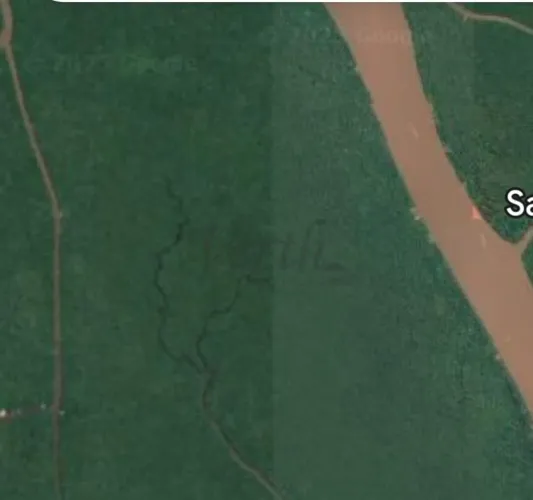 FAZENDA À VENDA 2617ha CRÉDITO DE CARBONO - PORTEL - PA