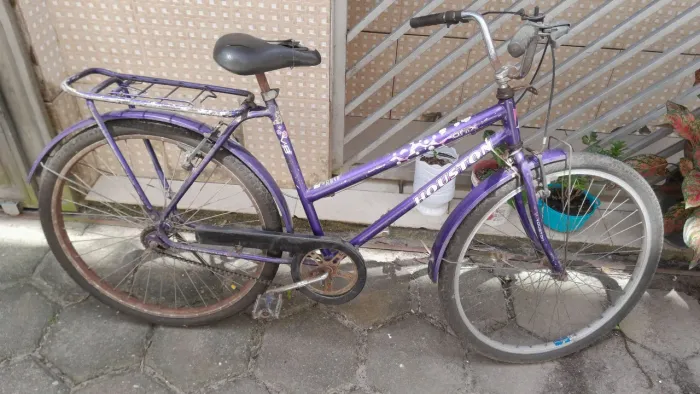 Bicicleta adulto barata
