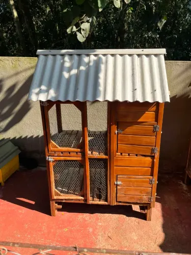 Viveiro de eucalipto para coelho e pequenos animais