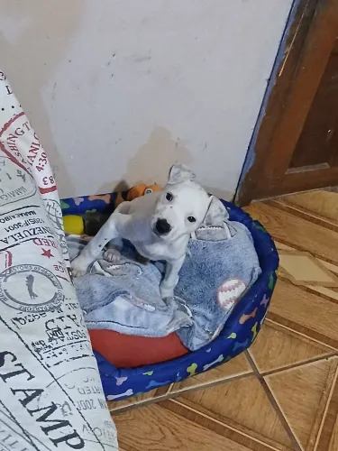 Doação