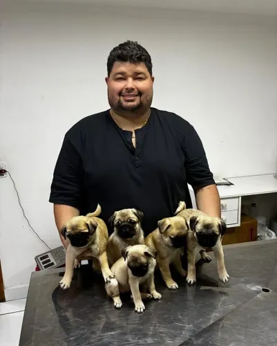 Pug mini