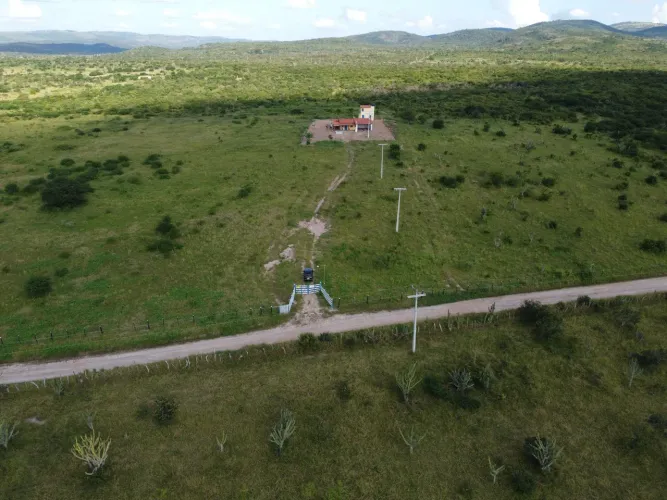 Fazenda 98 Tarefas 43 ha Brejões BA Excelente Terreno Oportunidade Negocio Rural roça