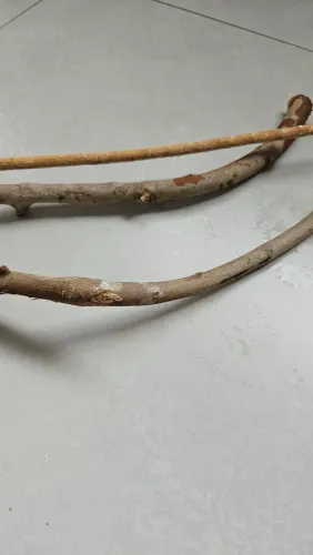 Poleiros Naturais para aves