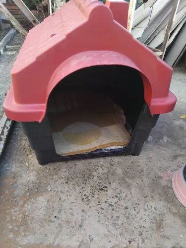 Casinha semi nova tamanho 6