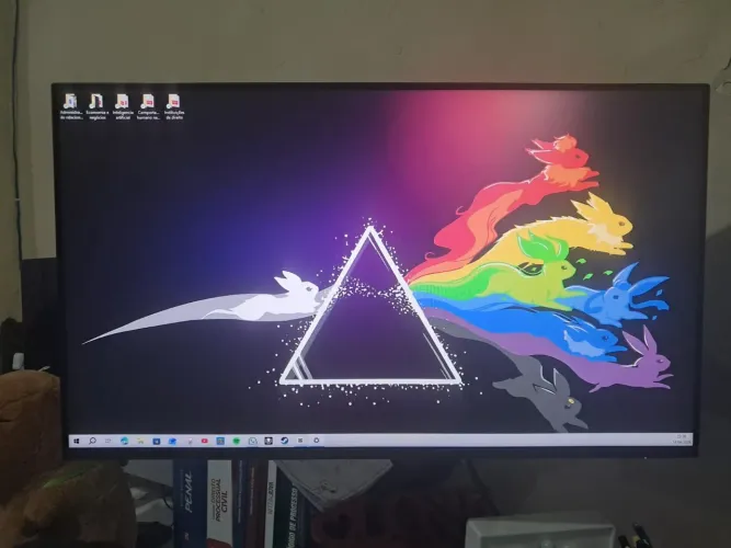 Monitor Dell