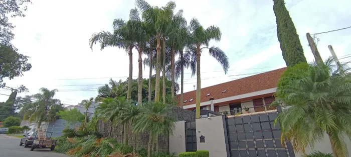 Corte e poda de árvores de todos os tamanhos 