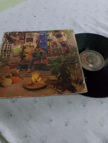 Vinil Evandro mesquita