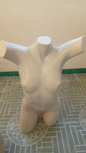Manequins meio corpo e bustos... APartir $40