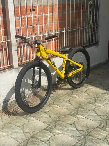 Gios amarela ano 2024
