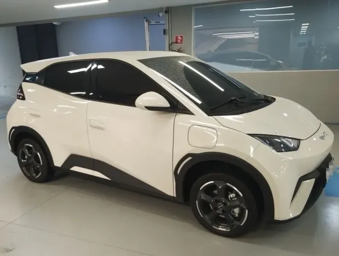 BYD Dolphin Mini (Elétrico) 2024