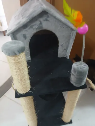 Casa de gato