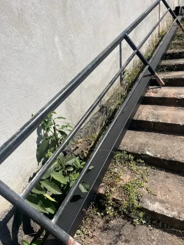 Guarda corpo