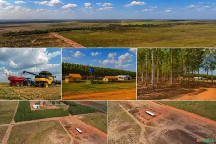 Fazenda à Venda no Piauí - 3.072 ha | 1.200 ha para Agricultura | Estrutura Completa
