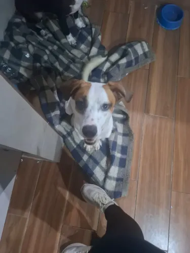 DOAÇÃO