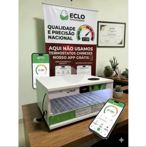 Chocadeira