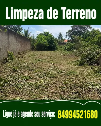 Equipe de limpeza de terreno