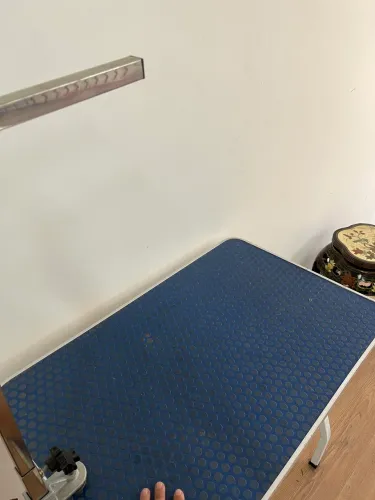 Mesa de tosa para Pet Shop