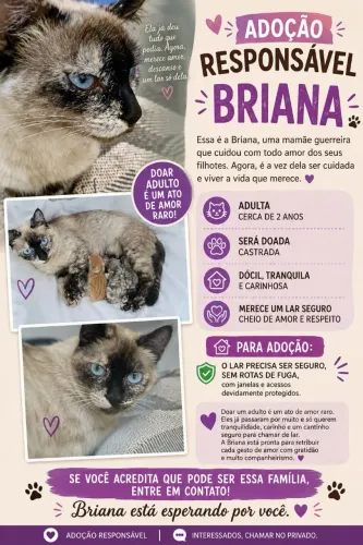 BRIANA para adoção