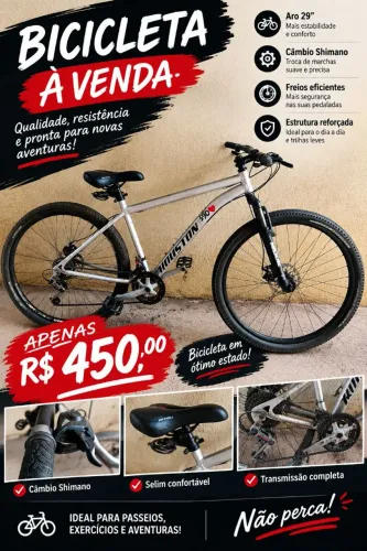Bicicleta Aro 29