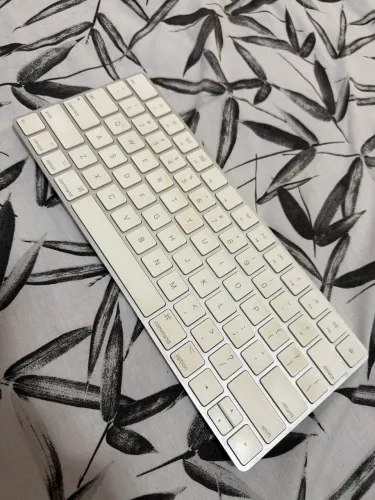 TECLADO APPLE