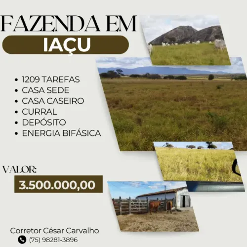 FAZENDA EM IAÇU - 1209 TAREFAS