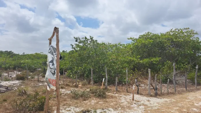 Lotes na entrada de Santo Amaro