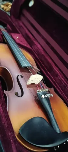 Violino Michael VNM49 4/4 - Excelente Estado + Acessórios