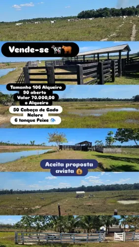 Fazenda toda documentada aceita financiamento.