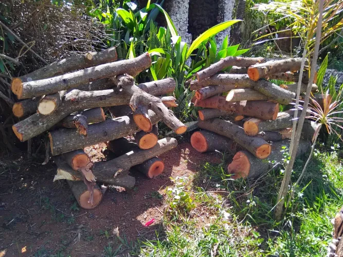 Fogueiras prontas para churrasco e festas juninas