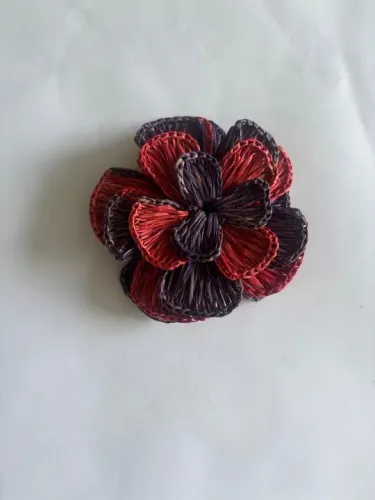 Flor colorida de Buriti
