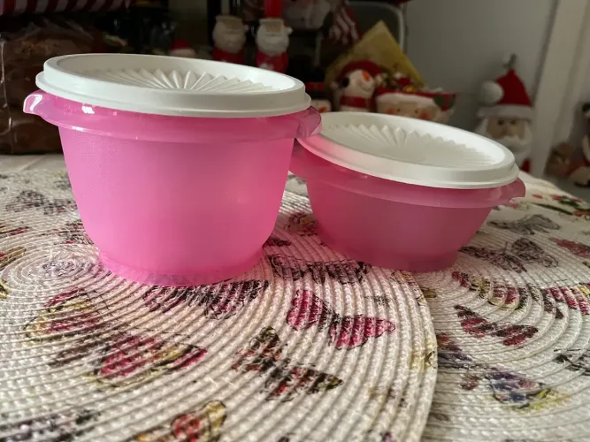 Tupperware duo Rosa