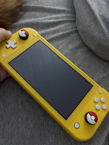 Switch lite