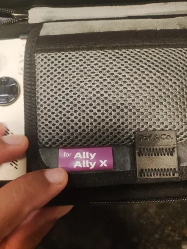 Case rog Ally x e Z1 extreme 