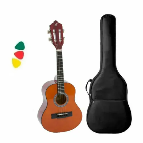 Cavaquinho com capa de couro