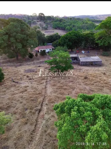 Sítio | 6,26 Alqueires | Represa com Nascente | Hidrolândia